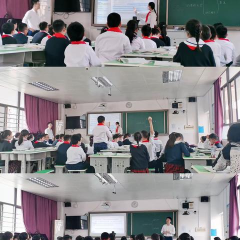 探秘鸟的天堂，感受动静之美——记宝龙科技城实验学校小学语文科组教研活动