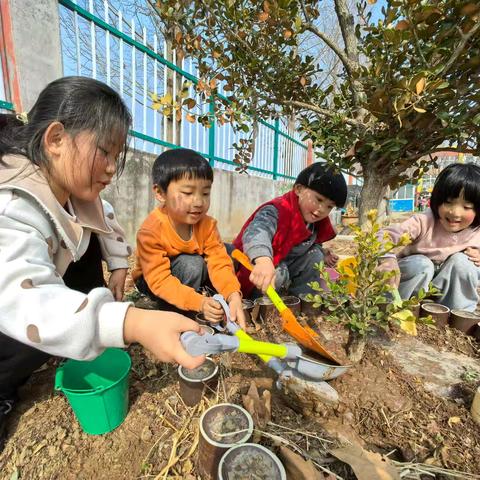 童心护绿，拾趣春光——许孟镇中心幼儿园大二班植树节活动