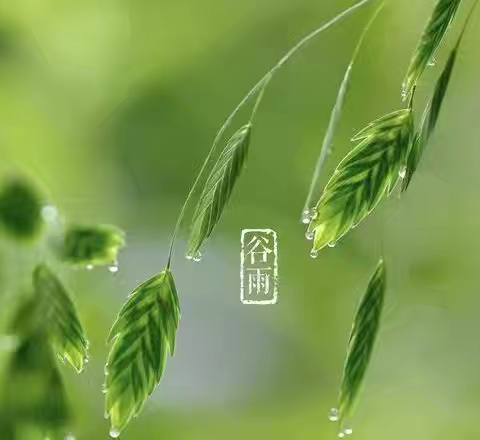 谷雨润土 孕育新生——许孟镇中心幼儿园二十四节气之谷雨