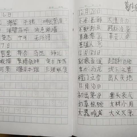 【以“图”为种、绽放“话”朵 】——﻿ 二年级“看图写话”学期纪实