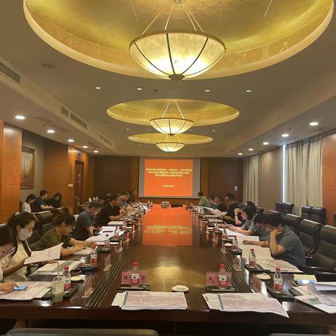 自然资源和规划局组织召开岳村镇苇园村等三个村村庄规划暨七里岗区域部分地块修改必要性论证报告评审会