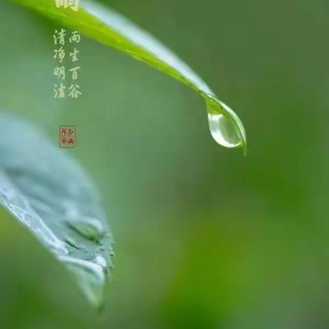 水西沟中心幼儿园东湾村分园“雨生百谷，时至暮春”谷雨节气活动