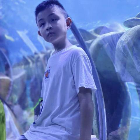 竹之声—《杞人忧天》