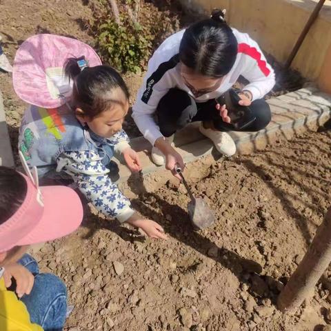 银川市兴庆区大新第六幼儿园“养护植物，收获成长”大一班小小植物角美篇