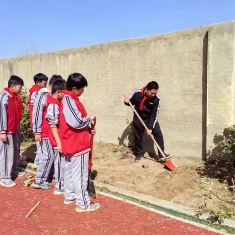 “播种梦想，收获希望”半堤镇曙光小学综合实践活动