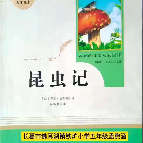 葛天书香韵，少年书声朗 ——长葛市佛耳湖镇“我的一本课外书”阅读分享大赛成果展示（四）