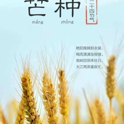 芒种芒种🌾🌾幸福播种 —— 泾灵幼儿园小二班芒种主题教育活动