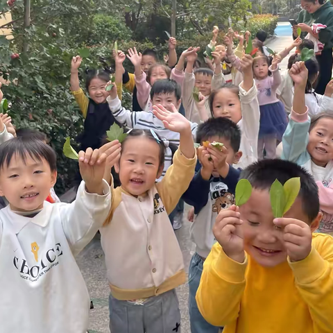 叶子真奇妙——城关一幼大一班自然科学课程