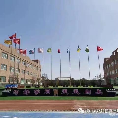 【杏小·教研】外出学习助成长，分享交流促提升 ——杏园逸夫小学语文教研组活动纪实