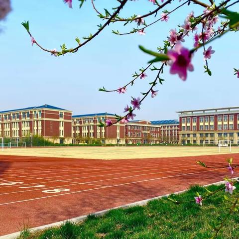 提升课堂评价素养——记凤华小学“学教评”一致下的“课堂评价”常识科课例研讨活动