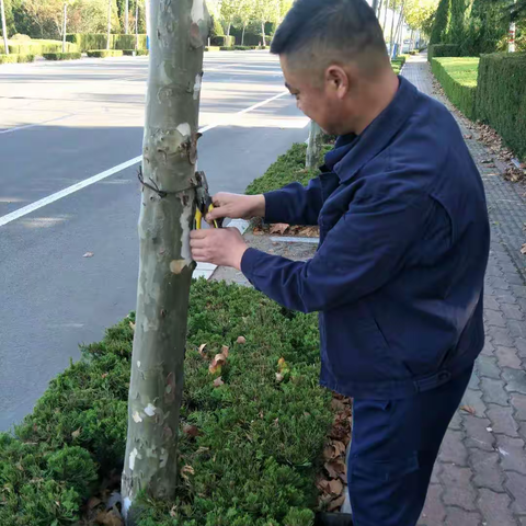 即墨金投公司：开展人居环境整治活动