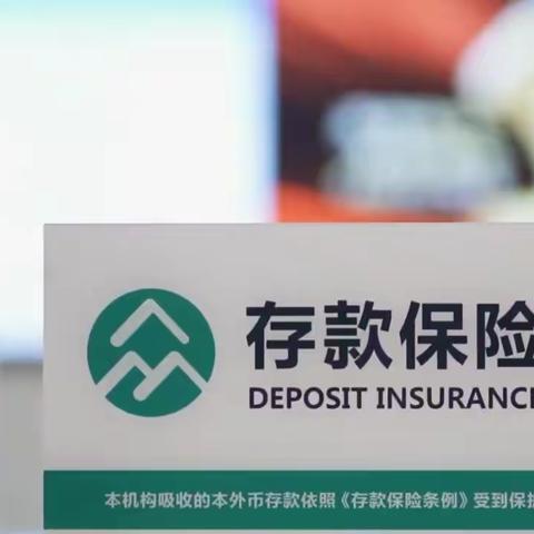 泰安路支行开展存款保险宣传活动