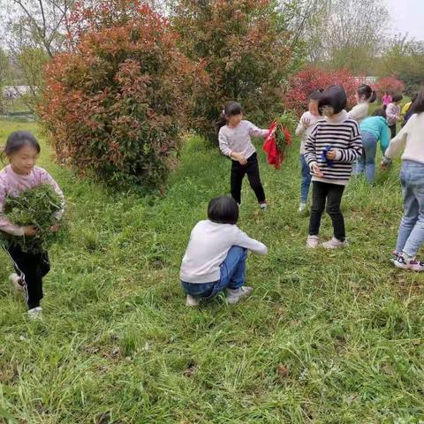 长见识，培能力，得锻炼-----崇善小学社会实践活动