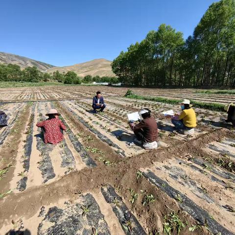 普及金融知识万里行通讯稿——金融知识进万家