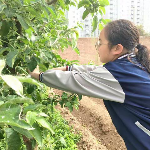 保定市23中启动首个学生“五一”劳动周活动