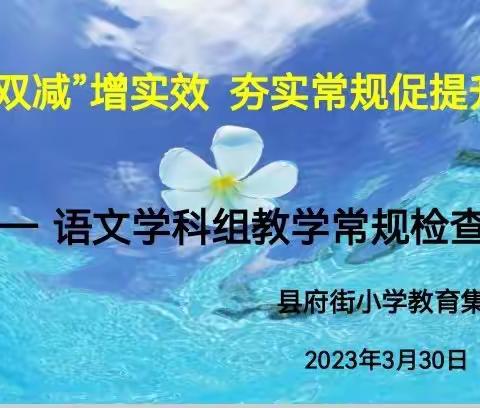 践行“双减”增实效 夯实常规促提升）————县府街小学教育集团语文学科教学常规检查