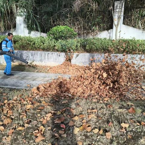 寒冬守洁暖民心！景德镇京环用坚守绘就洁净人居画卷