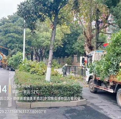 景德镇园林“过冬秘籍”：清杂、涂白、换花齐上阵！