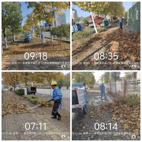 深冬临近落叶飘 环卫忙碌风姿飒