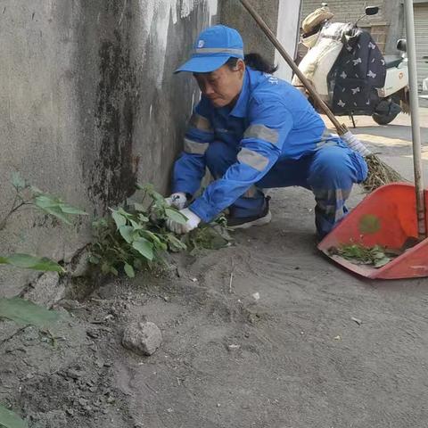 晨光初照，景德镇京环精细作业环绘就城市洁净“工笔画”