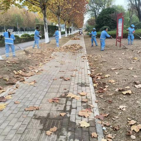 景德镇京环公司：攻坚落叶高发季，专项突击保瓷都洁净