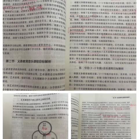 学习新课标  领悟新理念