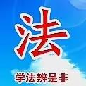 追法治之光 做明媚少年——实验中学举办2024法治学习暨护苗专项行动讲座