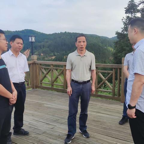 大田县城乡建设品质提升攻坚战役丨大田县领导调研城乡建设品质提升重点项目工作