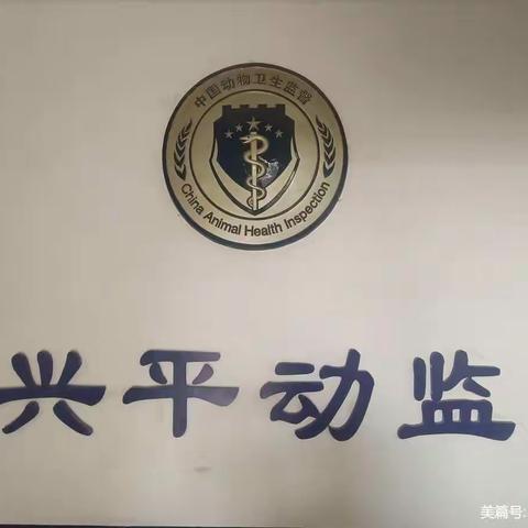 兴平市动物卫生监督所开展畜禽屠宰环节质量安全风险监测