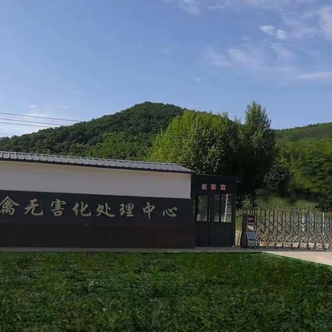多措并举 开辟病死畜禽无害化处理新路径