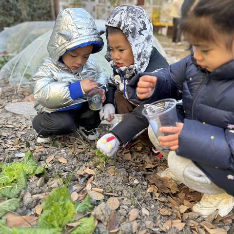 中五班2023学年第一学期第十九周周反馈