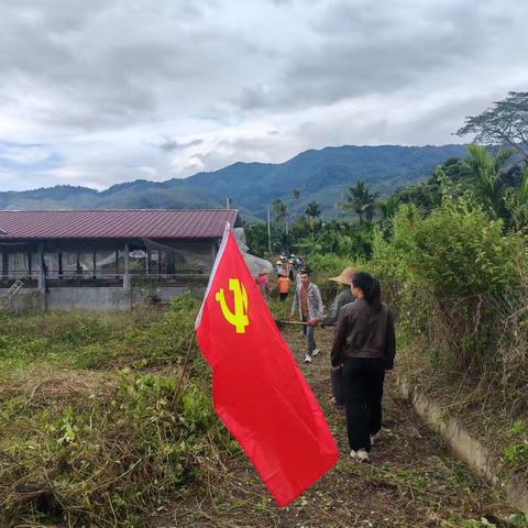 党旗引领除杂草 实干赋能美家园——红雅村党支部开展猪场环境整治主题党日活动