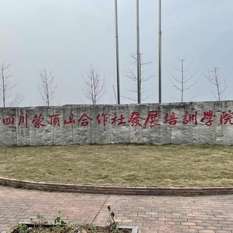 宁夏回族自治区农村改革与经济指导处联合农经站赴四川、重庆开展调研