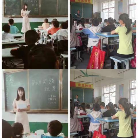 【晁陂镇甲林小学】——“劳动最光荣”教育活动