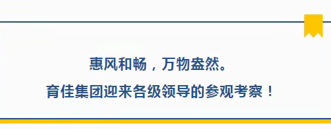 领导视察-相聚育佳，携手未来！