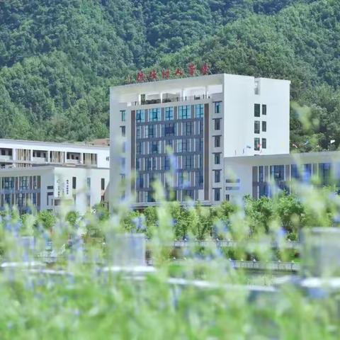 【乐教相长•聚力赋能】 ‍——栾川县第二协作区（音乐学科）教研共建