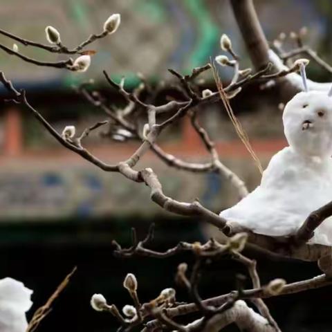 【十二幼·大班组】小雪至❄️暖寒冬☃️