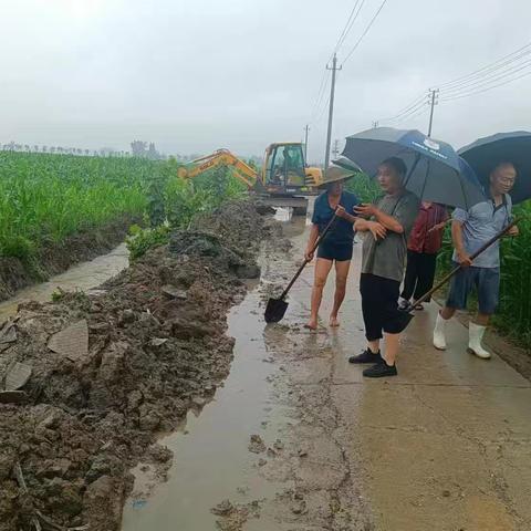 沙澧筹备组扎实开展本轮强降雨期间防汛工作