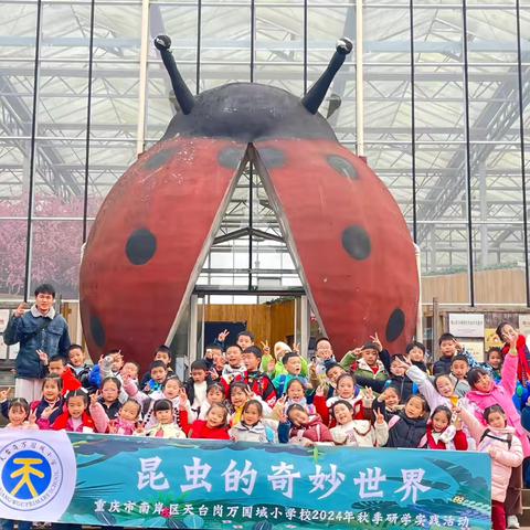昆虫的奇妙世界 ‍重庆市南岸区天台岗万国城小学 ‍一年级三班 ‍2024年秋季研学实践活动