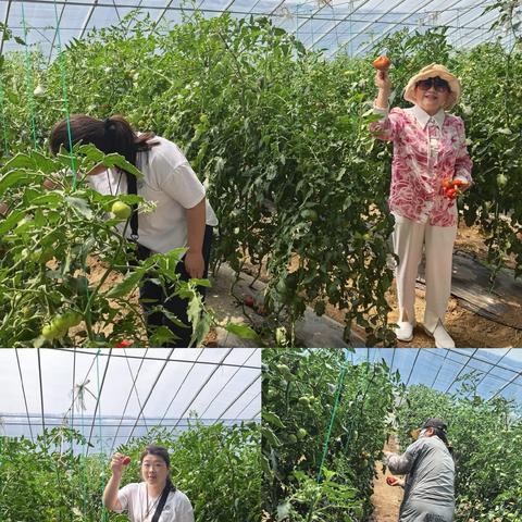 平顶山分行私行中心成功举办高端客户“善建艺行 缤纷果香”采摘活动