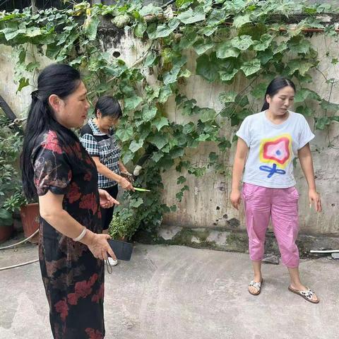 【朱兰街道滨河社区】党员联户查民情，社区调解促和谐