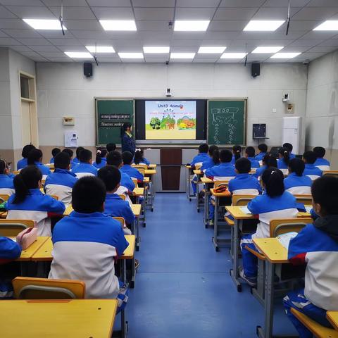 【清河实验】上质量||携手教研  共促成长——清河实验学校小学英语教研活动纪实