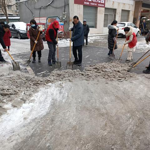 市园林绿化中心 开展“铲雪除冰 安全出行”志愿服务活动