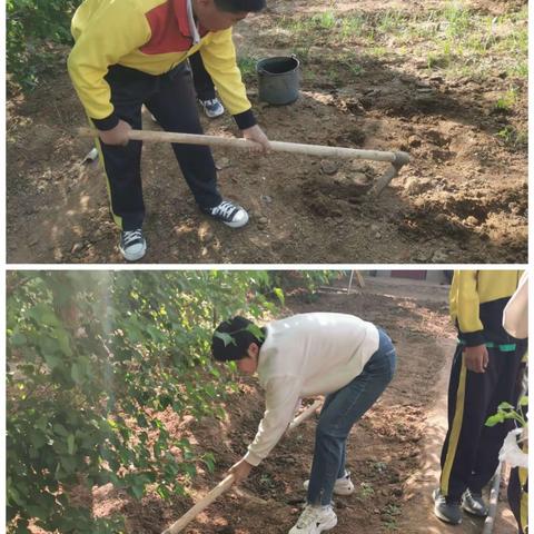 “耕读园”里乐成长—六小学劳动实践基地活动