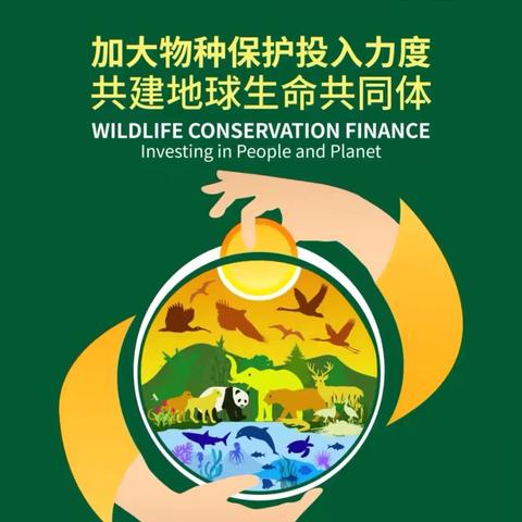 世界野生动植物日丨加大物种保护投入力度 共建地球生命共同体