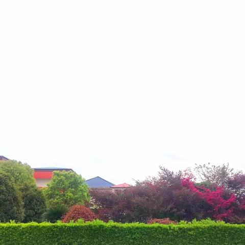 研于心，学于行 ——记八宝小学四四班研学旅行