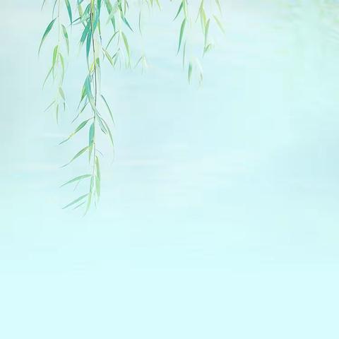 渝中区中山小学校一年级二班丨“与春天撞个满怀”2024年春季主题实践研学活动