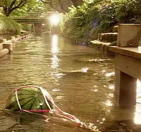 惊！竟然有这样的好事。。。