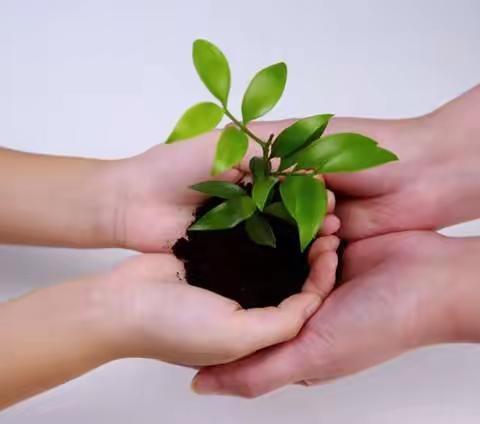 喜看稻菽千重浪，三尺教坛铸辉煌—辛村镇实验中学班主任经验交流分享会