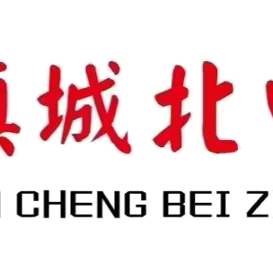 “慧”做班主任，“育”见新成长——琴亭镇城北中心小学班主任经验交流会
